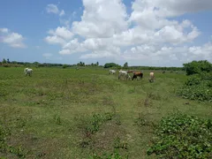 Fazenda / Sítio / Chácara com 3 Quartos à venda, 160000m² no Centro, Ceará Mirim - Foto 1