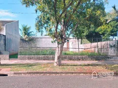 Terreno / Lote / Condomínio à venda, 300m² no Jardim Licce, Maringá - Foto 1