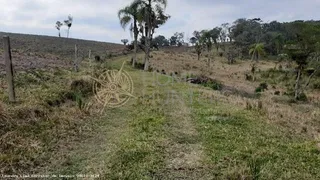 Casa Comercial à venda, 100000m² no Serra Alta, São Bento do Sul - Foto 9