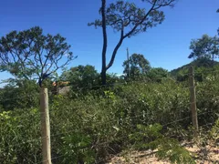 Terreno / Lote / Condomínio à venda, 20000m² no Area Rural de Santa Luzia, Santa Luzia - Foto 10