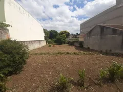 Terreno / Lote / Condomínio à venda, 600m² no Capão Raso, Curitiba - Foto 1