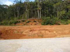 Terreno / Lote / Condomínio à venda, 260m² no Sao Joao, Brusque - Foto 3