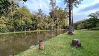 Terreno / Lote / Condomínio à venda, 250m² no Jardim Montecatini, Londrina - Foto 6