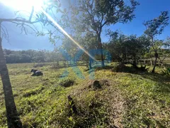 Fazenda / Sítio / Chácara com 3 Quartos à venda, 200m² no Santo Antônio dos Campos, Divinópolis - Foto 53