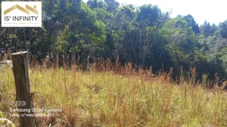 Fazenda / Sítio / Chácara com 3 Quartos à venda, 10000m² no Area Rural de Sao Jose dos Pinhais, São José dos Pinhais - Foto 10