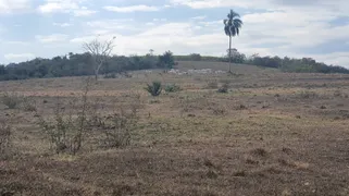 Fazenda / Sítio / Chácara à venda, 1694000m² no Vila Rezende, Piracicaba - Foto 10