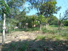 Terreno / Lote / Condomínio com 1 Quarto à venda, 1245m² no São Vicente de Paula, Araruama - Foto 25