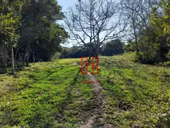 Fazenda / Sítio / Chácara com 6 Quartos à venda, 25400m² no Ratones, Florianópolis - Foto 18