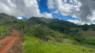 Fazenda / Sítio / Chácara com 3 Quartos à venda, 46000m² no Timbui, Fundão - Foto 12