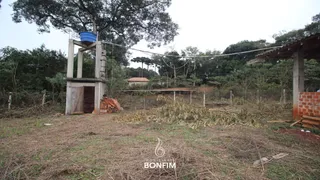 Fazenda / Sítio / Chácara com 2 Quartos à venda, 5593m² no Vila Santa Terezinha, Almirante Tamandaré - Foto 4