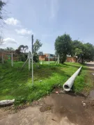 Terreno / Lote / Condomínio à venda, 200m² no Patronato, Santa Maria - Foto 5