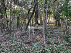 Fazenda / Sítio / Chácara à venda, 196000m² no Avenida Central, Gramado - Foto 1