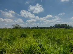 Fazenda / Sítio / Chácara à venda, 48400m² no Zona Rural, Porangaba - Foto 20