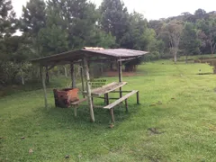 Fazenda / Sítio / Chácara com 3 Quartos à venda, 27000m² no Centro, Bocaiúva do Sul - Foto 3