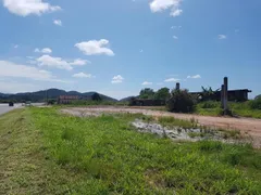 Terreno / Lote / Condomínio para venda ou aluguel, 13100m² no , Silva Jardim - Foto 17