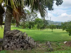 Fazenda / Sítio / Chácara com 4 Quartos à venda, 900m² no Campininha Canguera, São Roque - Foto 66