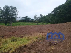 Fazenda / Sítio / Chácara com 2 Quartos à venda, 1200000m² no Zona Rural, Piedade - Foto 6