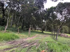 Terreno / Lote / Condomínio à venda, 290000m² no Vila Lindoia, Itacoatiara - Foto 2