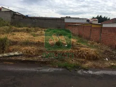 Terreno / Lote / Condomínio com 1 Quarto à venda, 320m² no Lagoinha, Uberlândia - Foto 2