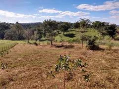 Terreno / Lote / Condomínio à venda, 2000m² no Melo Viana, Esmeraldas - Foto 3