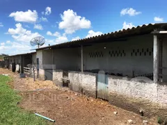 Fazenda / Sítio / Chácara com 4 Quartos à venda, 1171675m² no Centro, Salgado - Foto 20