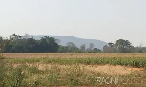 Fazenda / Sítio / Chácara com 30 Quartos à venda, 5620000m² no Zona Rural, Jaraguá - Foto 8