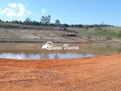 Fazenda / Sítio / Chácara com 4 Quartos à venda, 24000m² no Lambarí, Guararema - Foto 4