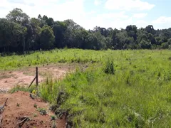 Terreno / Lote Comercial à venda, 44000m² no Thomaz Coelho, Araucária - Foto 5