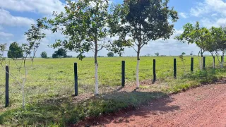 Fazenda / Sítio / Chácara com 3 Quartos à venda, 71150000m² no Celio Miranda, Paragominas - Foto 8