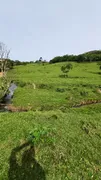 Fazenda / Sítio / Chácara à venda, 20000m² no Pedra Branca, Alfredo Wagner - Foto 6