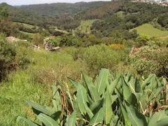 Terreno / Lote Comercial à venda no São Victor Cohab, Caxias do Sul - Foto 2