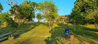 Fazenda / Sítio / Chácara com 3 Quartos à venda, 10000m² no Rancho Alegre, Campina Grande do Sul - Foto 10