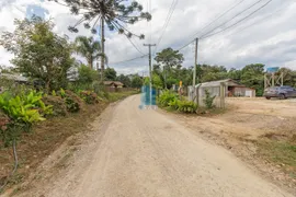Terreno / Lote / Condomínio com 1 Quarto à venda, 6000m² no Area Rural de Sao Jose dos Pinhais, São José dos Pinhais - Foto 22
