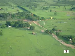 Fazenda / Sítio / Chácara com 20 Quartos à venda, 149000000m² no Zona Rural, Rondolândia - Foto 13