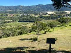 Terreno / Lote / Condomínio à venda, 2000m² no Morrinhos, Garopaba - Foto 4