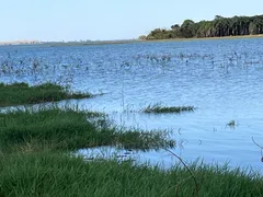 Fazenda / Sítio / Chácara com 1 Quarto à venda, 48000m² no Centro, Fernandópolis - Foto 7