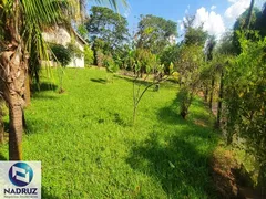 Fazenda / Sítio / Chácara com 1 Quarto à venda, 5000m² no Jardim Veneza, São José do Rio Preto - Foto 9