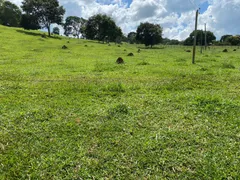 Fazenda / Sítio / Chácara com 2 Quartos à venda, 96800m² no Zona Rural, Bonfinópolis - Foto 9