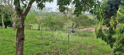 Fazenda / Sítio / Chácara com 4 Quartos à venda, 300m² no Boa Esperança, Rio Bonito - Foto 20