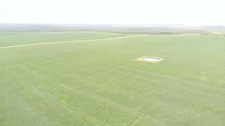 Fazenda / Sítio / Chácara à venda no Zona Rural, Itiquira - Foto 18