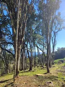 Fazenda / Sítio / Chácara com 1 Quarto à venda, 20000m² no Zona Rural, Urubici - Foto 19