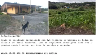 Fazenda / Sítio / Chácara com 2 Quartos à venda, 2500m² no Area Rural de Vitoria do Santo Antao, Vitória de Santo Antão - Foto 68