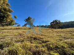 Fazenda / Sítio / Chácara com 3 Quartos à venda, 140m² no Zona Rural, São Sebastião do Oeste - Foto 51