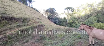 Terreno / Lote / Condomínio à venda, 37000m² no Zona Rural, Virgínia - Foto 19