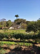 Fazenda / Sítio / Chácara com 3 Quartos à venda, 400m² no IATE CLUBE DE CAMPINAS, Americana - Foto 1