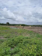 Fazenda / Sítio / Chácara com 3 Quartos à venda, 10000m² no Zona Rural, Monte Alegre - Foto 9