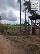 Fazenda / Sítio / Chácara com 3 Quartos à venda, 60500m² no Iguape, Iguape - Foto 18