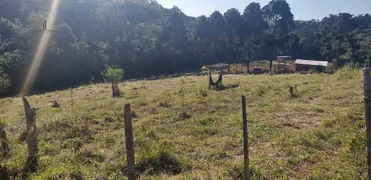 Fazenda / Sítio / Chácara à venda, 193600m² no Centro, São Miguel Arcanjo - Foto 3