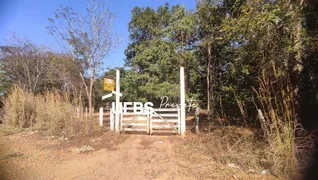 Fazenda / Sítio / Chácara à venda, 14520000m² no , Avelinópolis - Foto 6