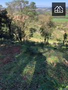 Fazenda / Sítio / Chácara com 3 Quartos à venda, 52600m² no , Santa Tereza do Oeste - Foto 4